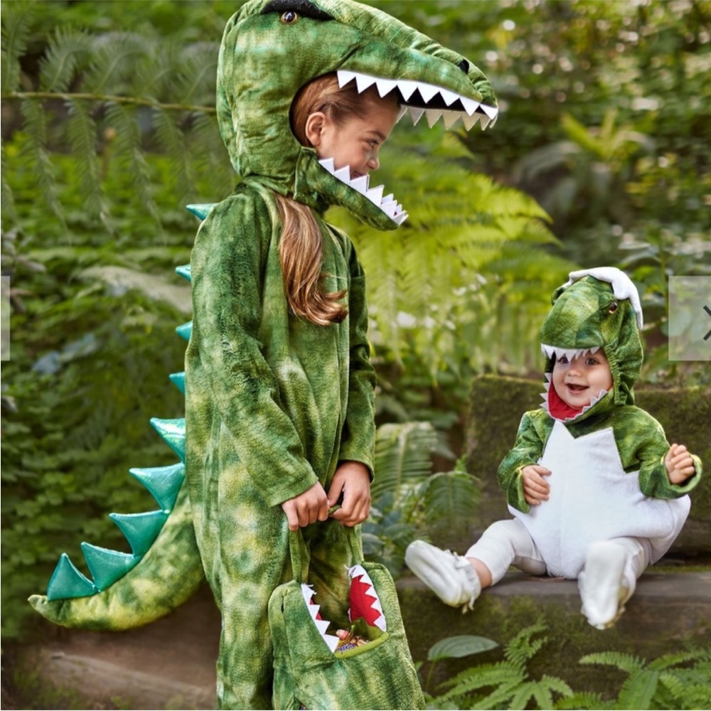 Pottery Barn Dinosaur Egg Toddler Costume